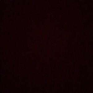 Meet your Posher, Donnie